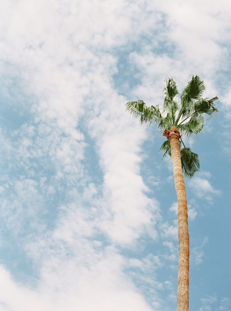 Best Photo Spots in Miami: Capture Memories in the Magic City